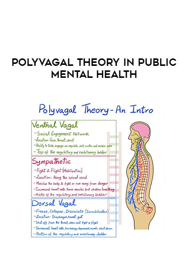 Polyvagal Theory in Public Mental Health from https://illedu.com