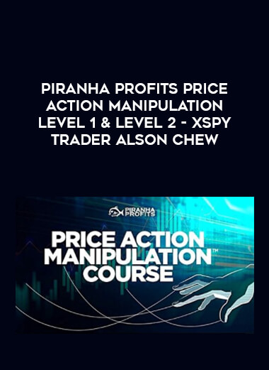 Piranha Profits Price Action Manipulation Level 1 & Level 2 - XSPY Trader Alson Chew from https://illedu.com