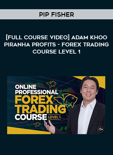 [Full Course Video] Adam Khoo Piranha Profits - Forex Trading Course Level 1 - Pip Fisher from https://illedu.com