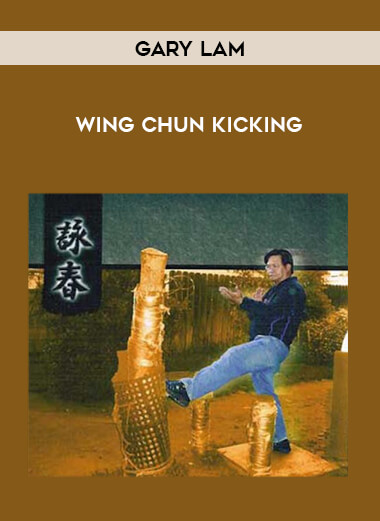 Gary Lam-Wing Chun Kicking from https://illedu.com