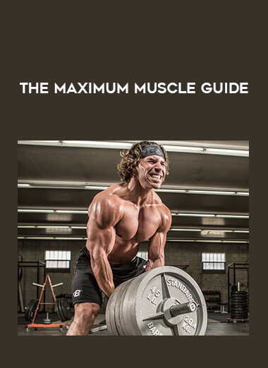 The Maximum Muscle Guide from https://illedu.com