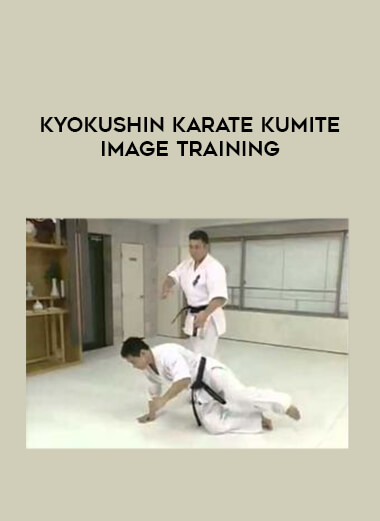 Kyokushin Karate Kumite Image Training from https://illedu.com