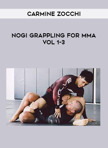 Carmine Zocchi-Nogi Grappling for MMA Vol 1-3 from https://illedu.com