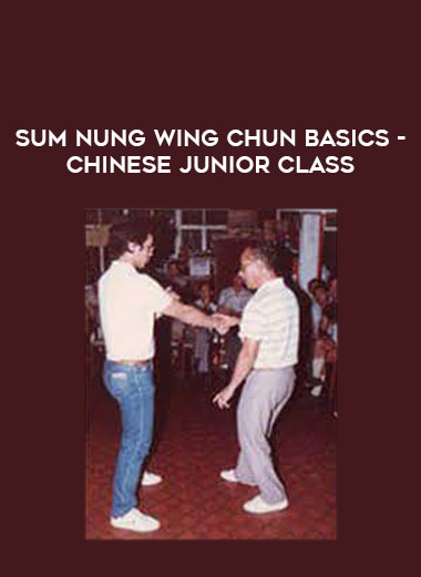 Sum Nung Wing Chun Basics - Chinese Junior Class from https://illedu.com