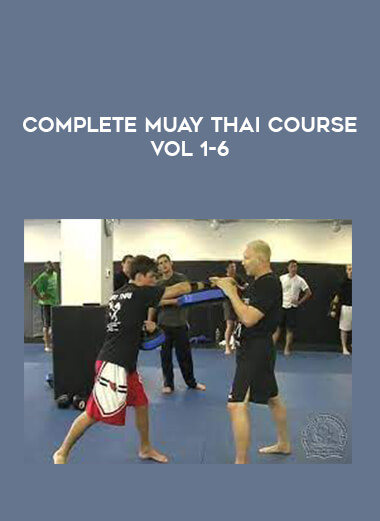Complete Muay Thai Course Vol 1-6 from https://illedu.com