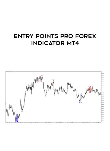 Entry Points Pro Forex Indicator MT4 from https://illedu.com