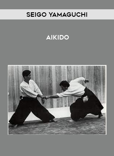 Seigo Yamaguchi - Aikido from https://illedu.com