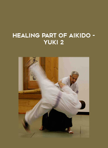 Healing part of Aikido - Yuki 2 from https://illedu.com