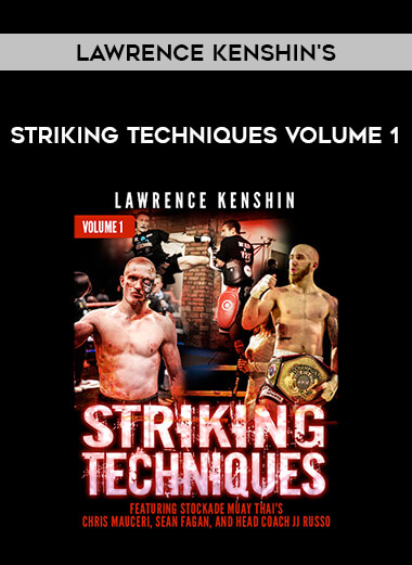 Lawrence Kenshin's Striking Techniques Volume 1 from https://illedu.com
