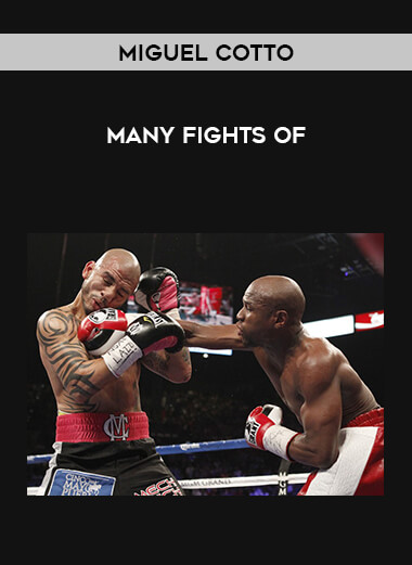 Many Fights of Miguel Cotto from https://illedu.com