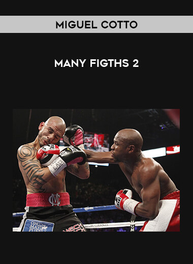 Many Figths of Miguel Cotto 2 from https://illedu.com