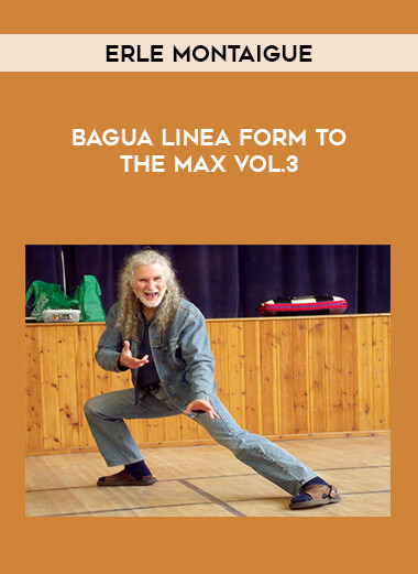 Erle Montaigue - Bagua Linea form to the Max Vol.3 from https://illedu.com
