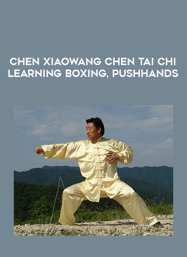 Chen XiaoWang chen Tai chi Learning Boxing