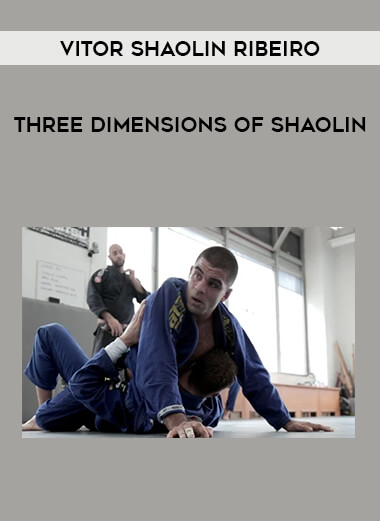 Vitor Shaolin Ribeiro - Three Dimensions of Shaolin from https://illedu.com