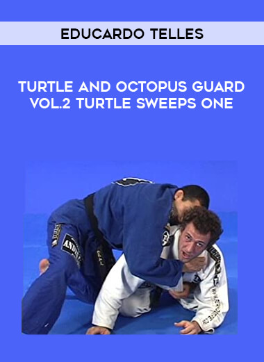 Educardo Telles - Turtle and Octopus Guard Vol.2 Turtle Sweeps One from https://illedu.com