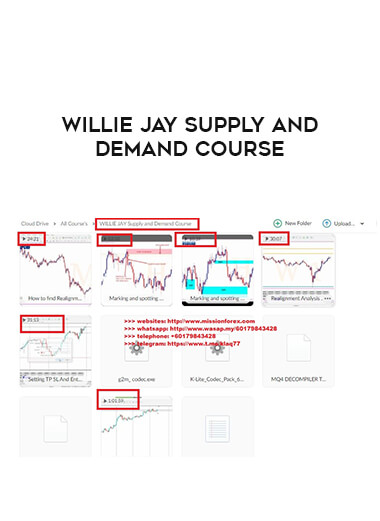 WILLIE JAY Supply and Demand Course from https://illedu.com