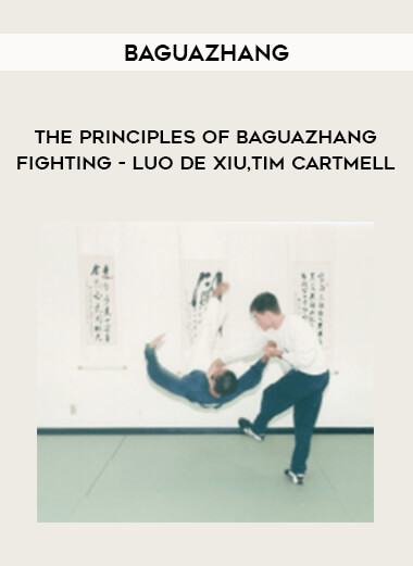 BaguaZhang - The Principles of BaguaZhang Fighting - Luo De Xiu
