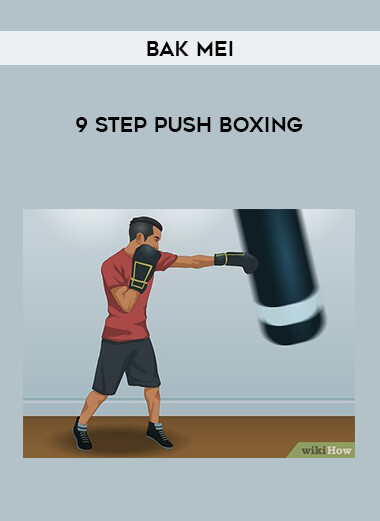 Bak Mei - 9 Step Push Boxing from https://illedu.com