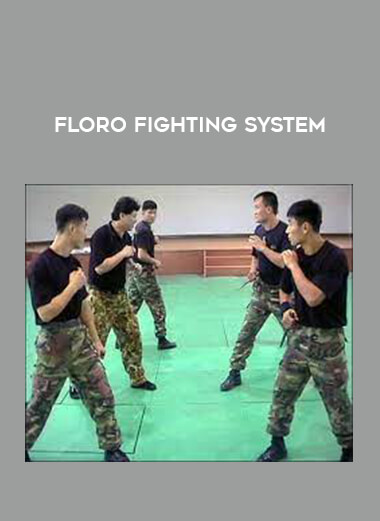 Floro Fighting System from https://illedu.com