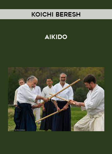 Koichi Beresh - Aikido from https://illedu.com