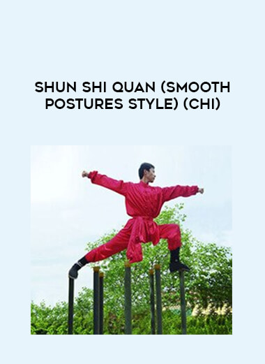 Shun Shi Quan (Smooth Postures Style) (chi) from https://illedu.com