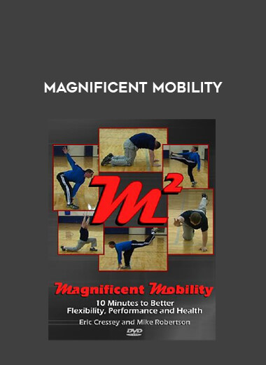 Magnificent Mobility from https://illedu.com