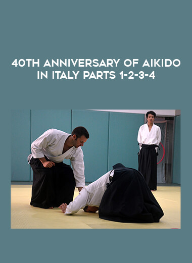 40th Anniversary Of Aikido In Italy parts 1-2-3-4 from https://illedu.com