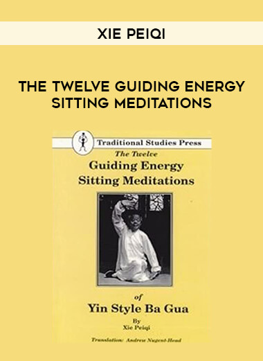 Xie Peiqi - The Twelve Guiding Energy Sitting Meditations from https://illedu.com