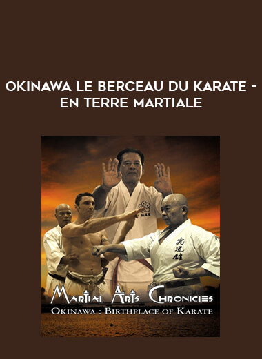 Okinawa le berceau du Karate - En Terre Martiale from https://illedu.com