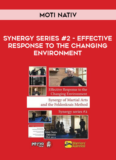 Moti Nativ - Synergy Series #2 - Effective Response to the Changing Environment from https://illedu.com