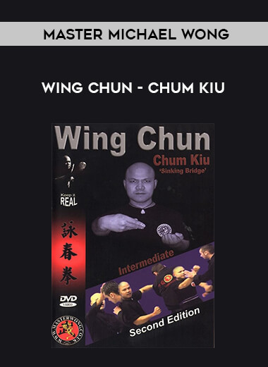 Master Michael Wong - Wing Chun - Chum Kiu from https://illedu.com