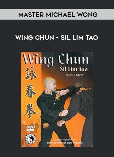 Master Michael Wong - Wing Chun - Sil Lim Tao from https://illedu.com
