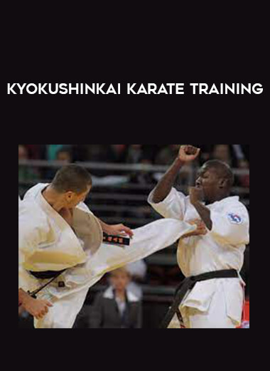 Kyokushinkai Karate Training from https://illedu.com