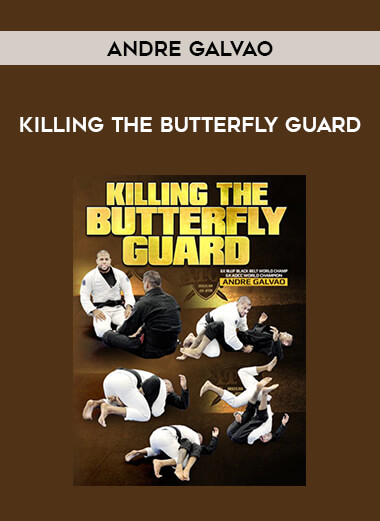 Andre Galvao - Killing The Butterfly Guard from https://illedu.com
