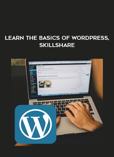 Learn The Basics of WordPress
