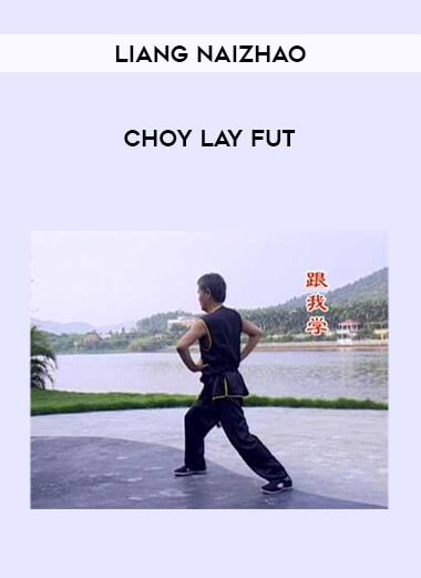 Liang Naizhao - Choy Lay Fut from https://illedu.com
