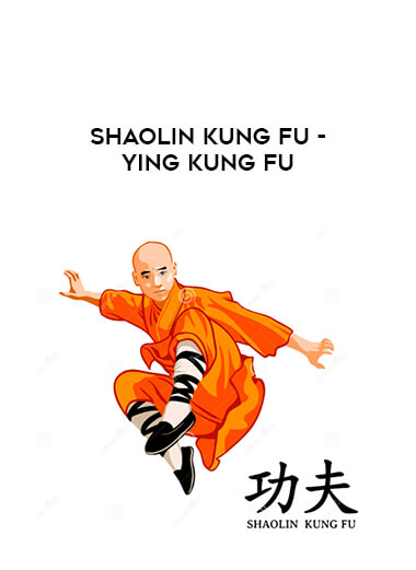 Shaolin Kung Fu - Ying Kung Fu from https://illedu.com