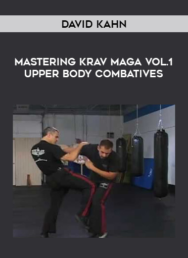 David Kahn - Mastering Krav Maga Vol.1 Upper Body Combatives from https://illedu.com