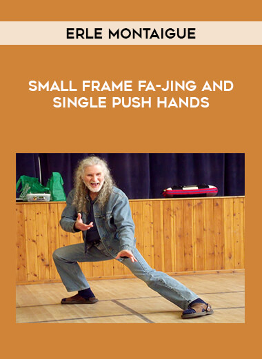 Erle Montaigue - Small frame Fa-Jing and Single Push Hands from https://illedu.com