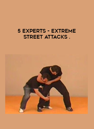 5 Experts - Extreme Street Attacks from https://illedu.com