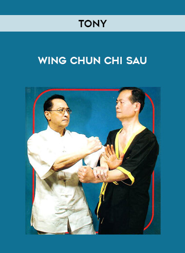 tony - wing chun chi sau from https://illedu.com