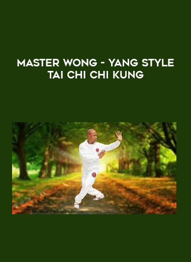 Master Wong - Yang Style Tai Chi Chi Kung from https://illedu.com