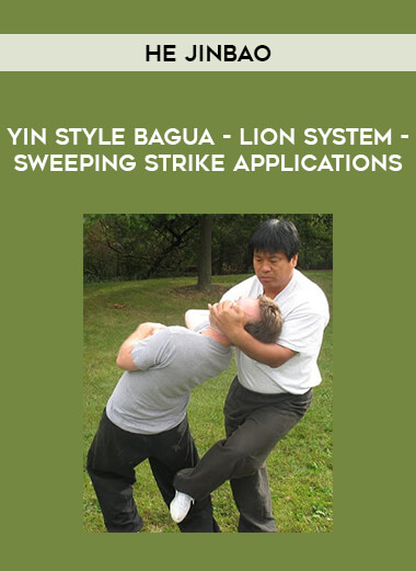 Yin Style Bagua - He Jinbao - Lion System - Sweeping Strike Applications from https://illedu.com