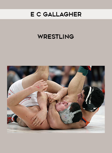 Wrestling by E C Gallagher from https://illedu.com