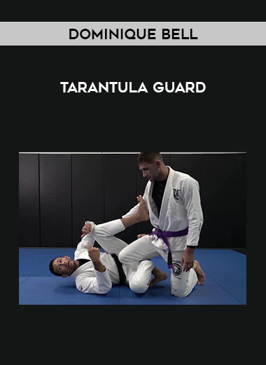 Dominique Bell - Tarantula Guard from https://illedu.com