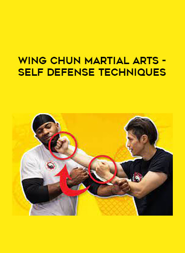 Wing Chun Martial Arts - Self Defense Techniques from https://illedu.com