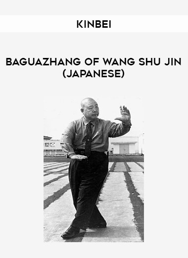 Kinbei - Baguazhang Of Wang Shu Jin (Japanese) from https://illedu.com