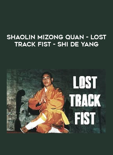 Shaolin Mizong Quan - Lost Track Fist - Shi De Yang from https://illedu.com