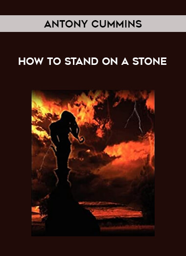 Antony Cummins - How To Stand On A Stone from https://illedu.com