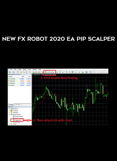 New Fx Robot 2020 EA Pip Scalper from https://illedu.com